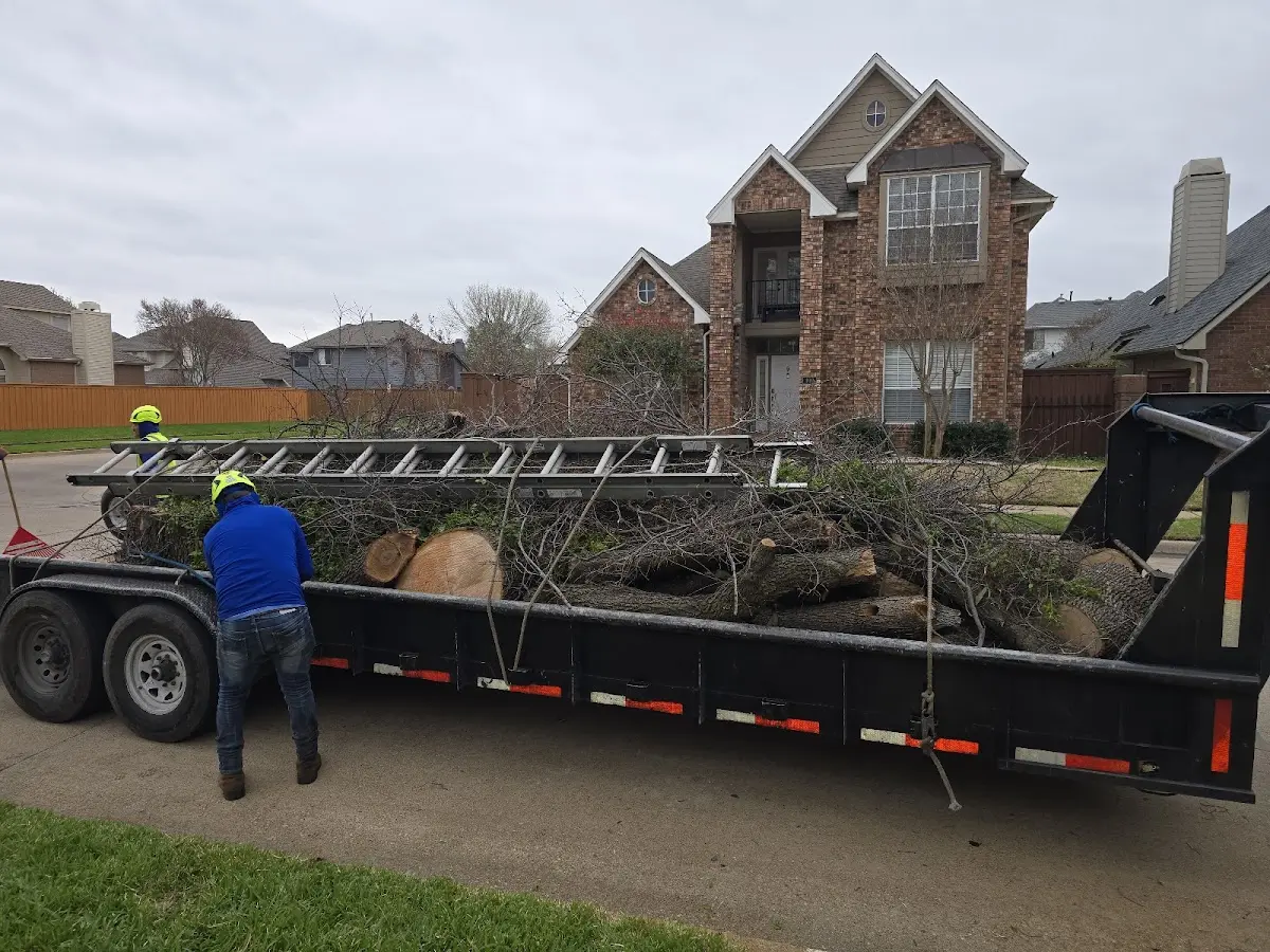 Expert Tree Fertilization with proper safety equipment in Erie